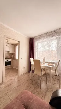 Миниатюра квартиры 18