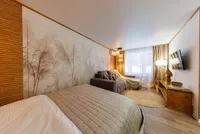 Миниатюра квартиры 9