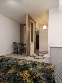 Миниатюра квартиры 9