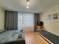 Миниатюра квартиры 9