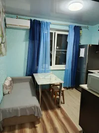 Миниатюра квартиры 9