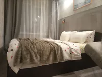 Миниатюра квартиры 3