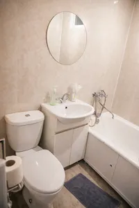 Миниатюра квартиры 17