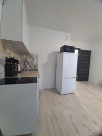 Миниатюра квартиры 2