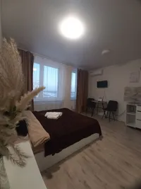 Миниатюра квартиры 9