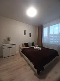 Миниатюра квартиры 10