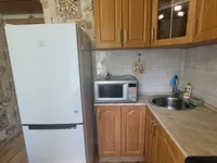 Миниатюра квартиры 10