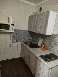 Миниатюра квартиры 8