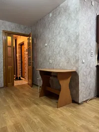 Миниатюра квартиры 8