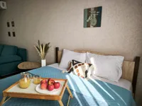 Миниатюра квартиры 1