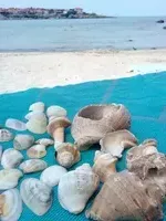 Миниатюра квартиры 18