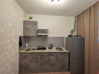 Миниатюра квартиры 12