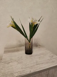 Миниатюра квартиры 18