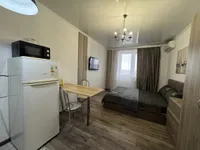 Миниатюра квартиры 11