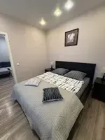 Миниатюра квартиры 21