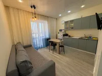 Миниатюра квартиры 20