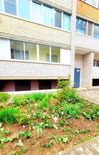 Миниатюра квартиры 29