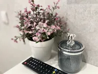 Миниатюра квартиры 15