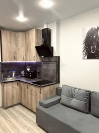 Миниатюра квартиры 8