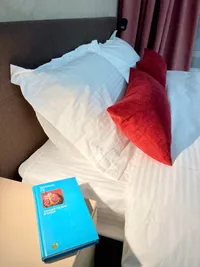 Миниатюра квартиры 29