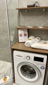 Миниатюра квартиры 30