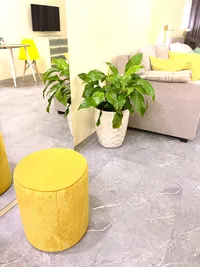 Миниатюра квартиры 12