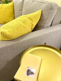 Миниатюра квартиры 25