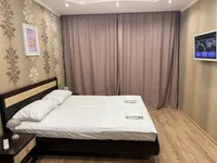 Миниатюра квартиры 9