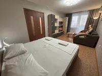 Миниатюра квартиры 3