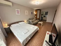 Миниатюра квартиры 6