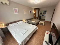 Миниатюра квартиры 11