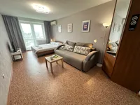 Миниатюра квартиры 9