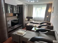 Миниатюра квартиры 13