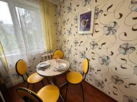 Миниатюра квартиры 17