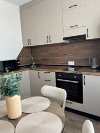 Миниатюра квартиры 2