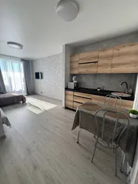 Миниатюра квартиры 17