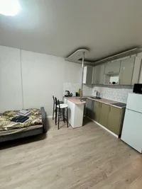 Миниатюра квартиры 9