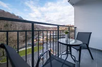 Миниатюра квартиры 9