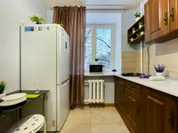 Миниатюра квартиры 10