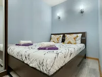 Миниатюра квартиры 5