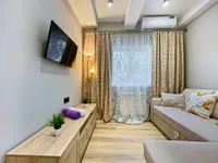 Миниатюра квартиры 18