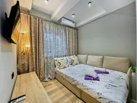 Миниатюра квартиры 38