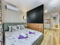 Миниатюра квартиры 9