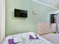 Миниатюра квартиры 9