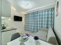 Миниатюра квартиры 8