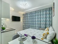 Миниатюра квартиры 11