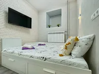 Миниатюра квартиры 10