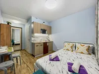 Миниатюра квартиры 8