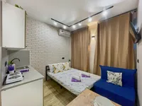 Миниатюра квартиры 4