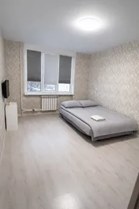 Миниатюра квартиры 3